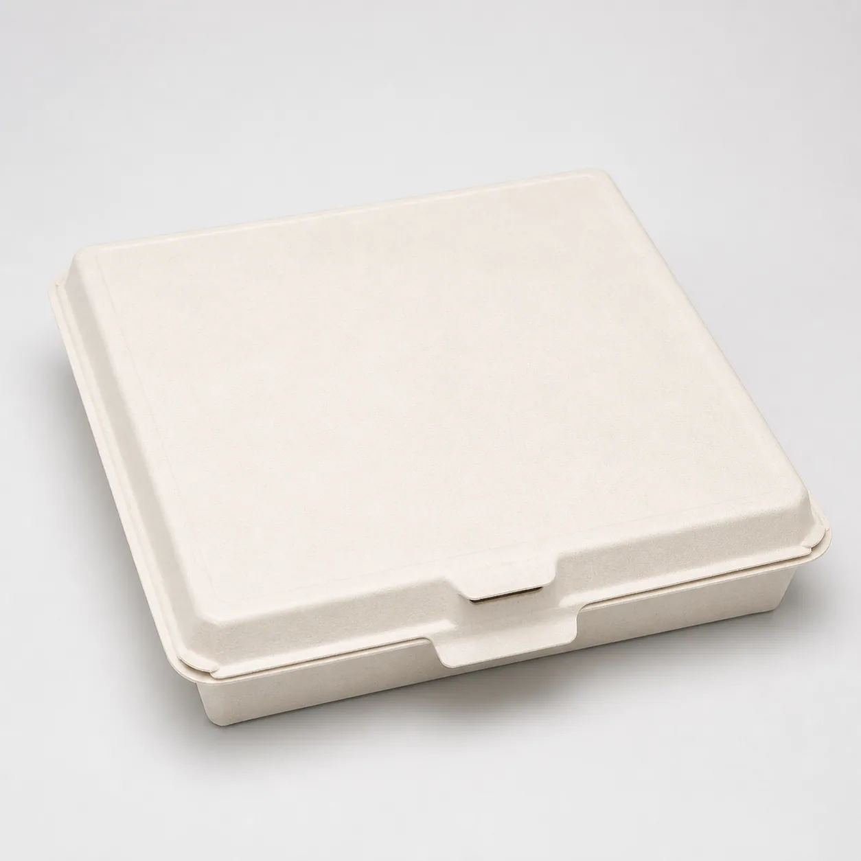 Pizzaverpackungen aus Bagasse