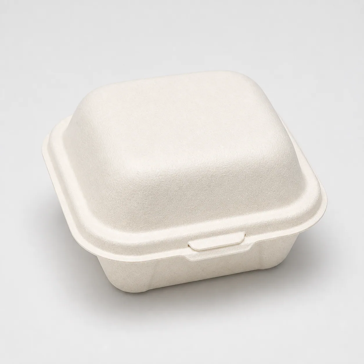 Bagasse Pastry Boxes