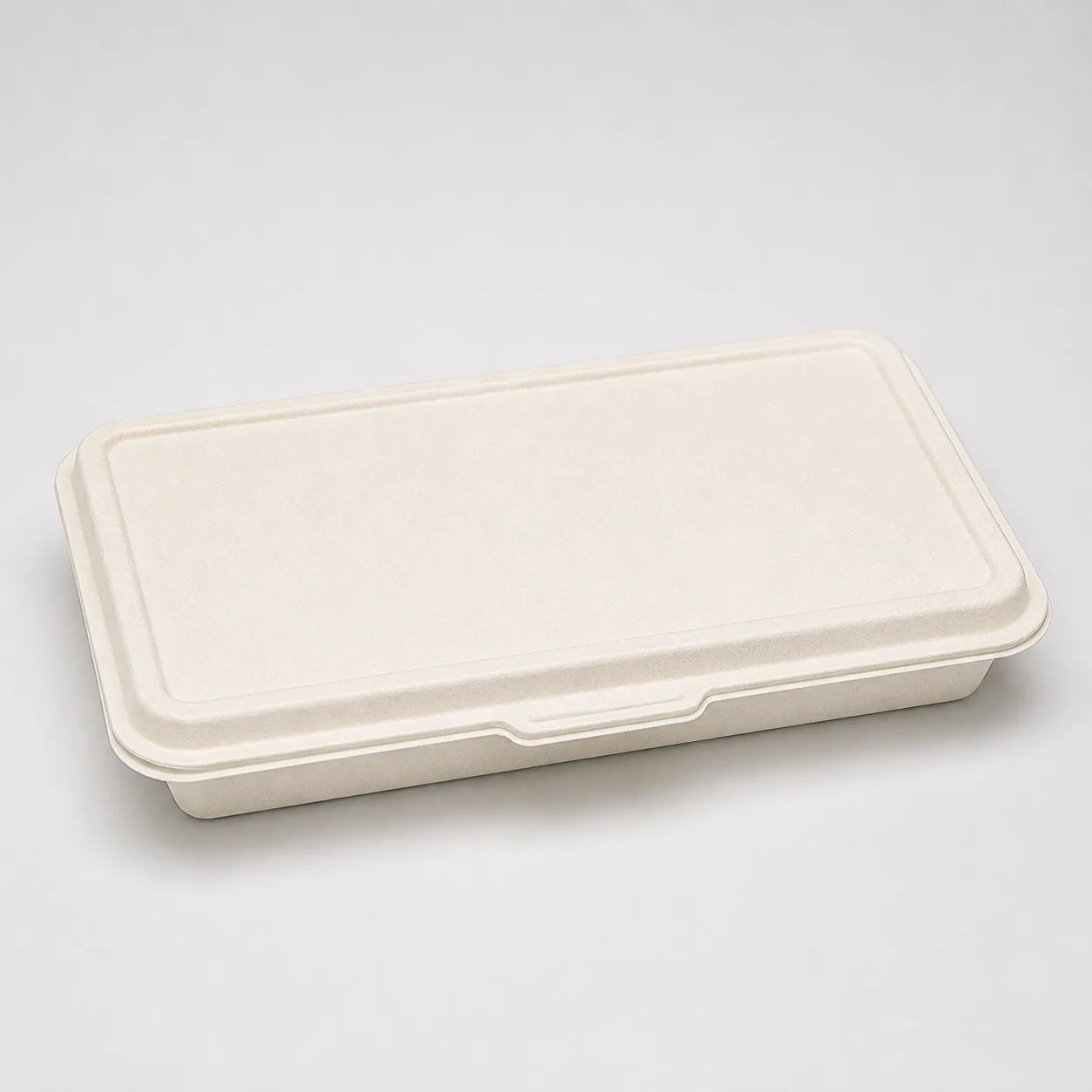 Sushi Trays and Matching Lids